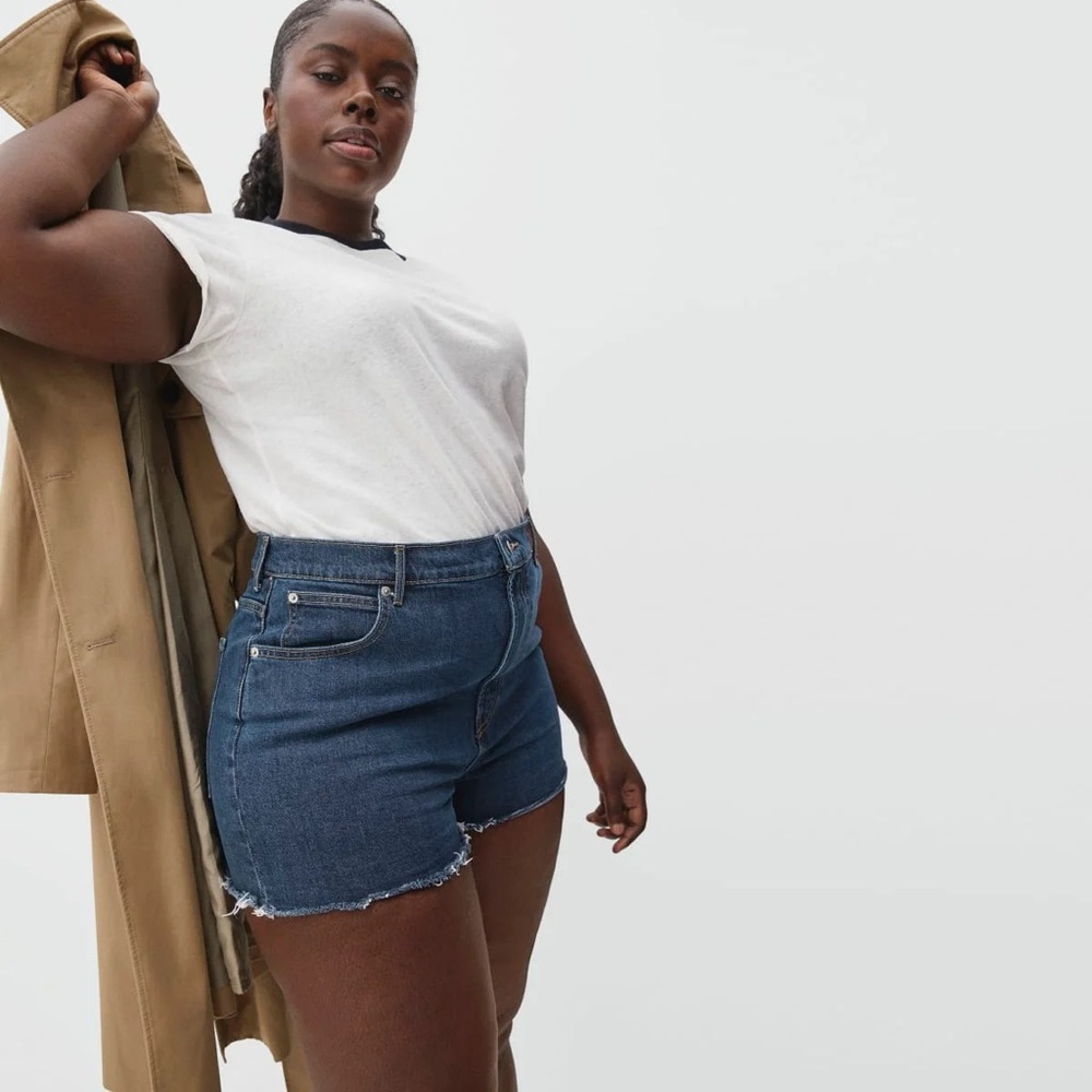Everlane The Way HighDenim Shorts